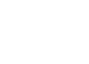 Infanity Tv