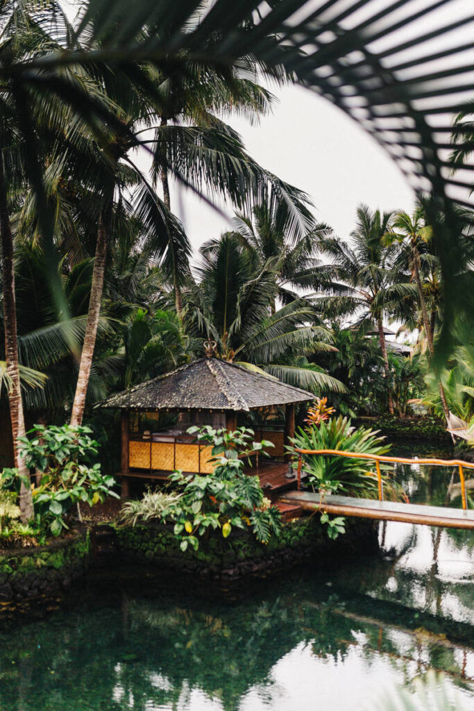 A tropical hut surrounded by lush greenery and palm trees.
